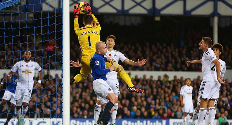 Everton v Swansea - November 2014