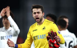 Fabianski v Palace